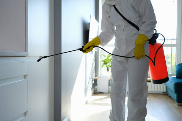 Water Damage Restoration in Hoisington, KS