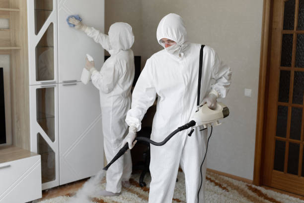 Best Crawl Space Mold Removal  in Hoisington, KS